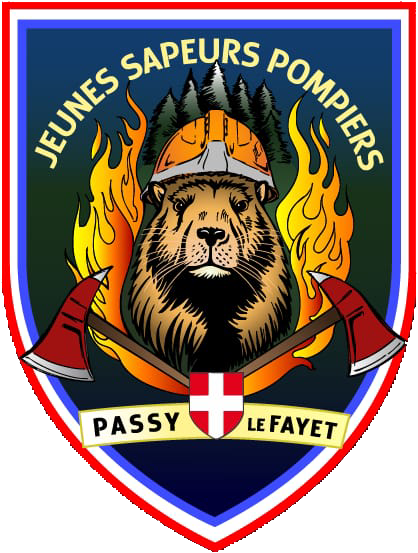 Logo de la section JSP